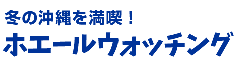 冬の沖縄を満喫！ホエールウォッチング