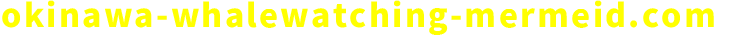 okinawa-whalewatching-mermeid.com