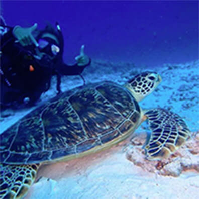 体験ダイビングなど、その他のマリンレジャーもご用意しております♥