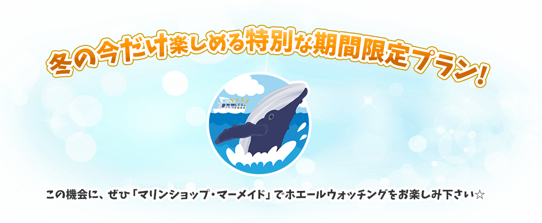 冬の今だけ楽しめる特別な期間限定プラン！この機会に、ぜひ「マリンショップ・マーメイド」でホエールウォッチングをお楽しみ下さい☆