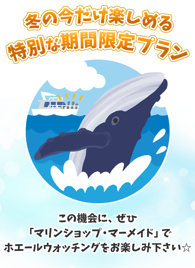冬の今だけ楽しめる特別な期間限定プラン！この機会に、ぜひ「マリンショップ・マーメイド」でホエールウォッチングをお楽しみ下さい☆