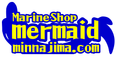 マリンショップ・マーメイドのホエールウォッチング