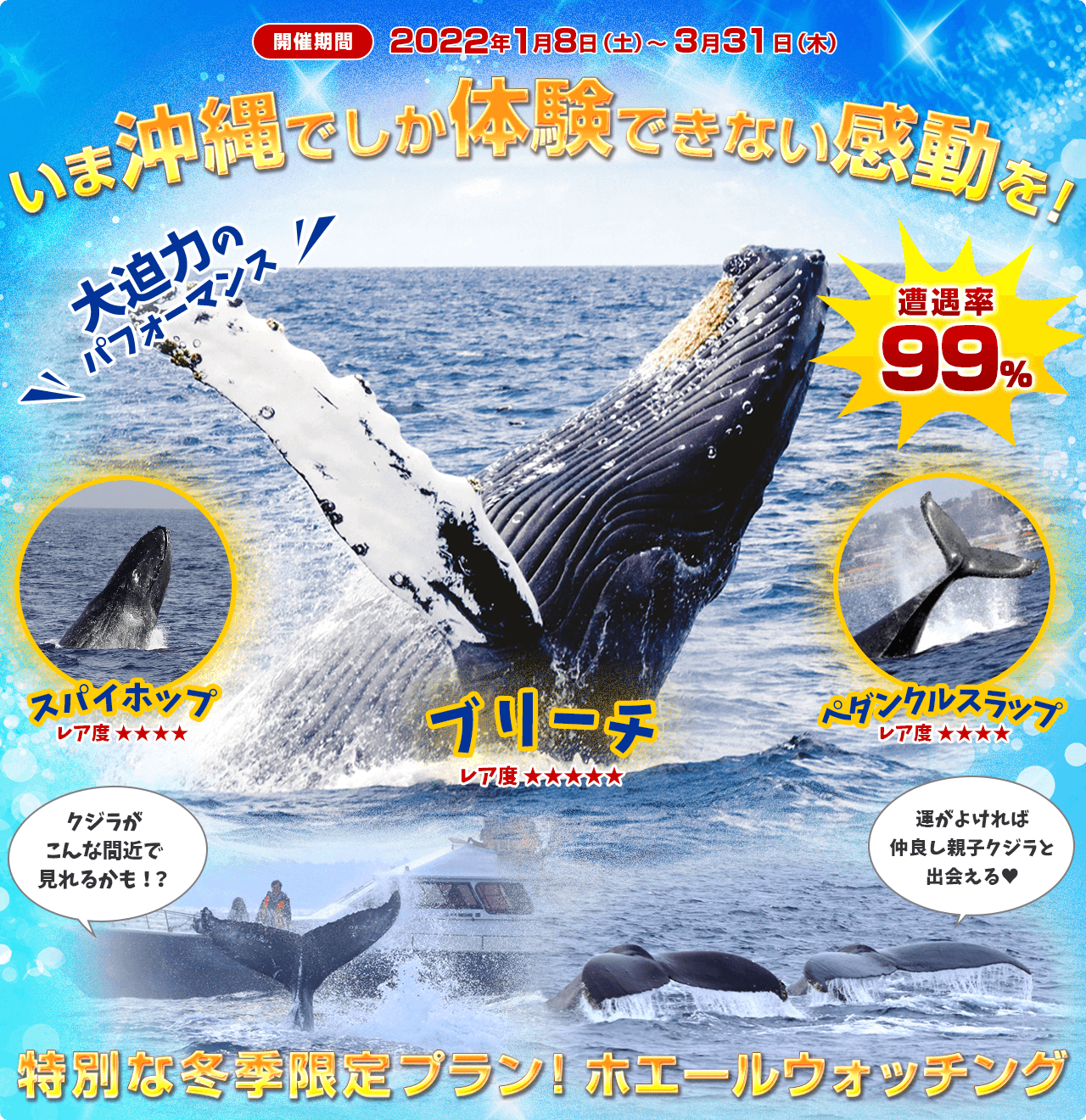 いま沖縄でしか体験できない感動を！特別な冬季限定プラン！ホエールウォッチング