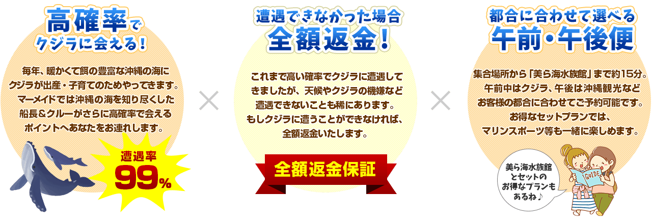 高確率でクジラに会える！ × 遭遇できなかった場合全額返金！ × 都合に合わせて選べる午前・午後便
