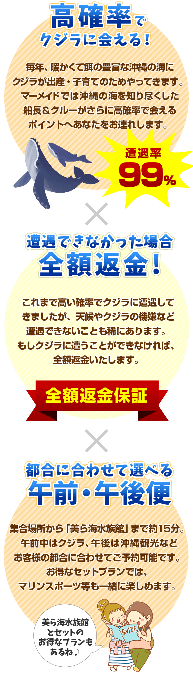 高確率でクジラに会える！ × 遭遇できなかった場合全額返金！ × 都合に合わせて選べる午前・午後便