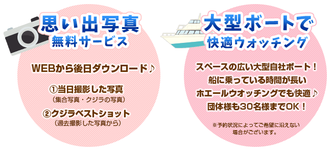 思い出写真サービス × 大型ボートで快適ウォッチング