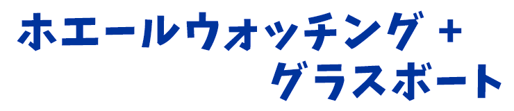 ホエールウォッチング ＋ グラスボート