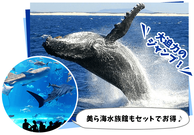 美ら海水族館もセットでお得♪