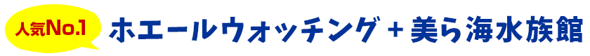 【人気No.1】ホエールウォッチング ＋ 美ら海水族館