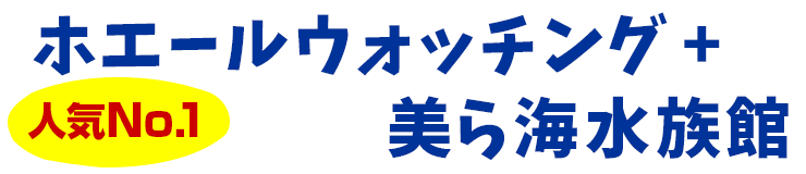 【人気No.1】ホエールウォッチング ＋ 美ら海水族館