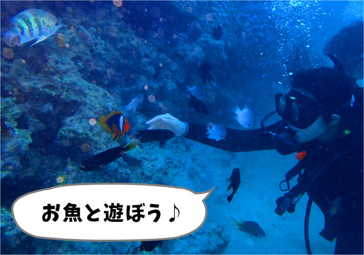 お魚と遊ぼう♪