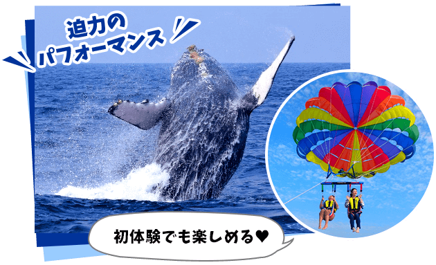 初体験でも楽しめる❤