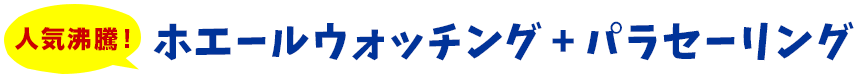 【人気沸騰！】ホエールウォッチング ＋ パラセーリング