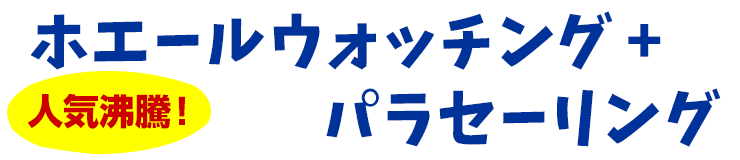 【人気沸騰！】ホエールウォッチング ＋ パラセーリング