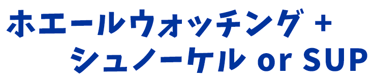 ホエールウォッチング ＋ シュノーケル or SUP
