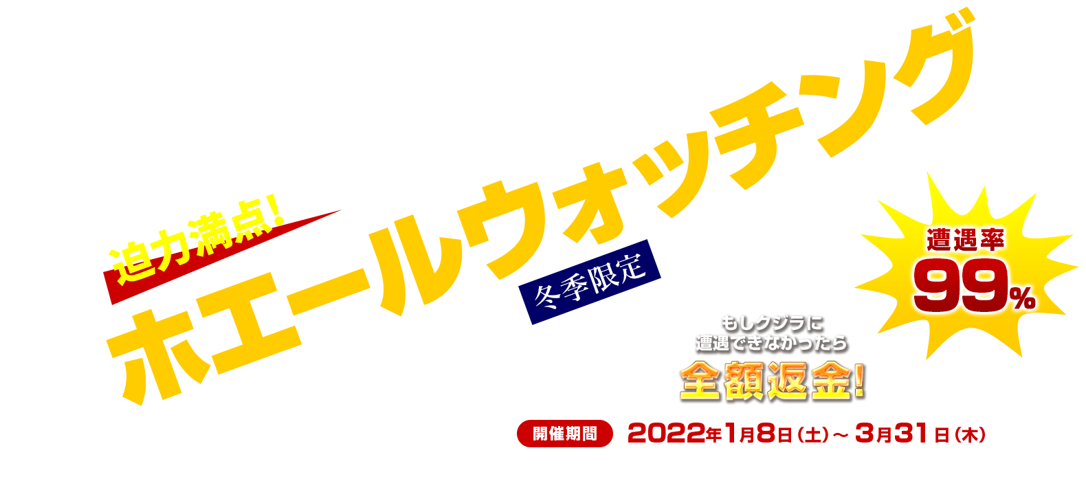 迫力満点!ホエールウォッチング【冬季限定】2021年1月7日（木）～4月5日（月）開催